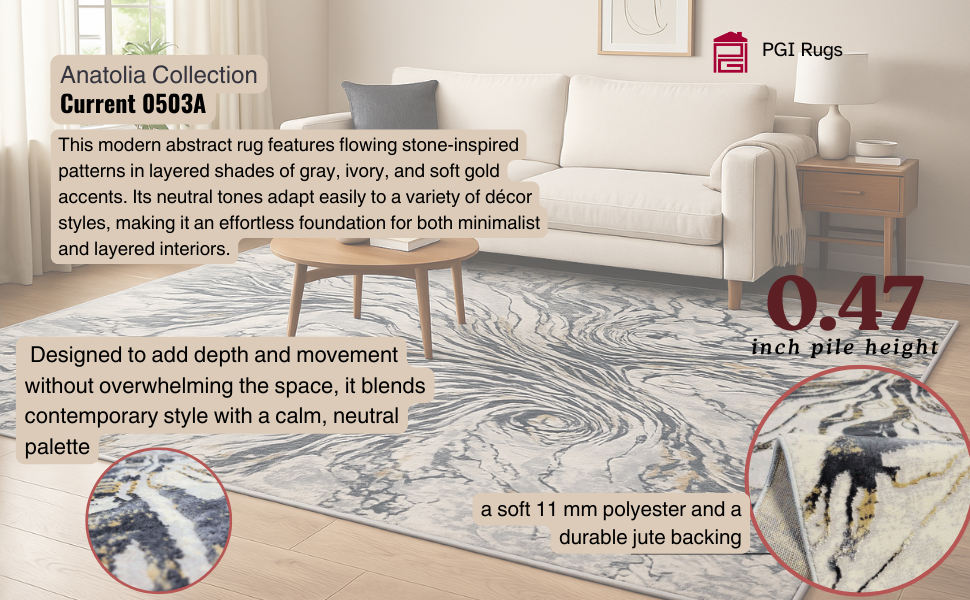 Current Gray PGI Rug 9x12 ft - Image 2