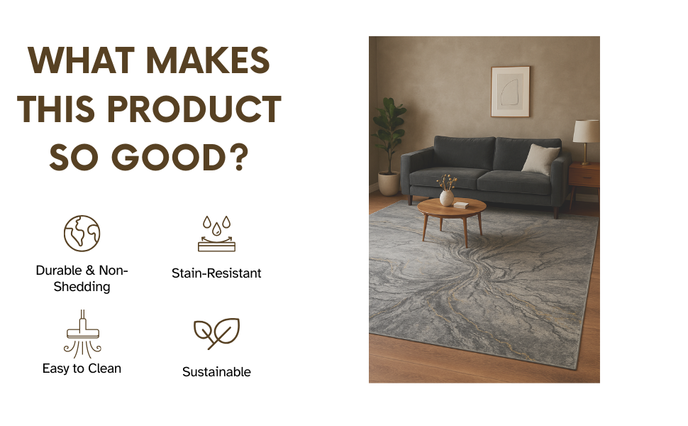 Current Gray PGI Rug 9x12 ft - Image 3