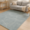 Contemporary rug styled in a modern living space